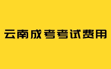 2024年云南成考考試費是多少？