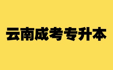 云南成考專升本與專本套讀有什么區(qū)別？