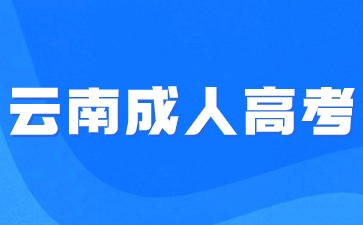 2024云南民族大學(xué)函授報(bào)名方式？