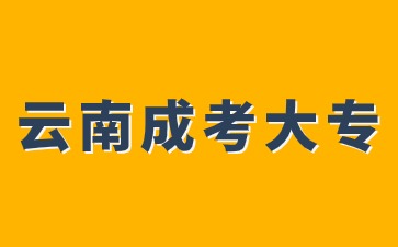 云南成考大專可以和自考本科一起報名嗎？