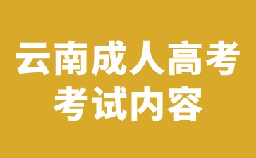 2024年云南成人高考本科考試有哪些考試內容？