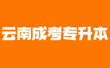 2024年云南省成人高考專升本有哪些優勢?