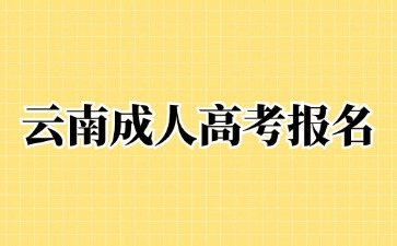 2024年云南成人高考報(bào)名時(shí)間在那一天？