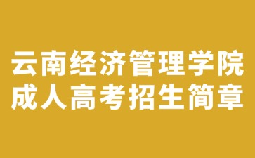 2024年云南經濟管理學院成人高考招生簡章